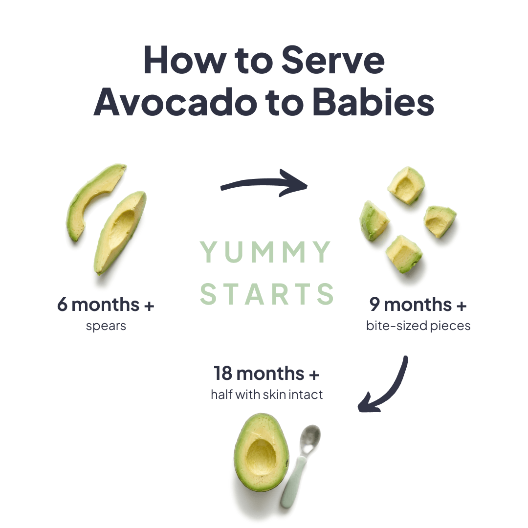 How to serve avocado to babies