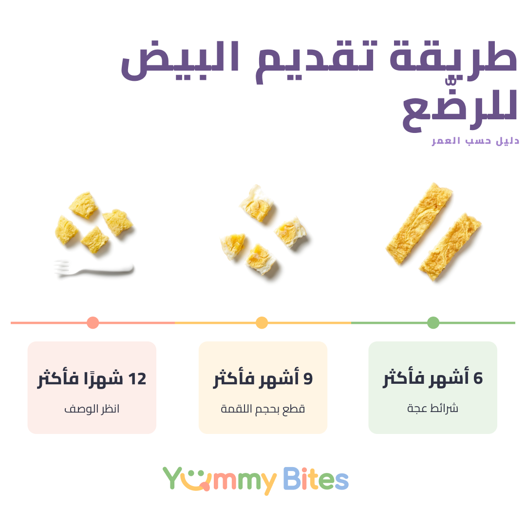 بيض