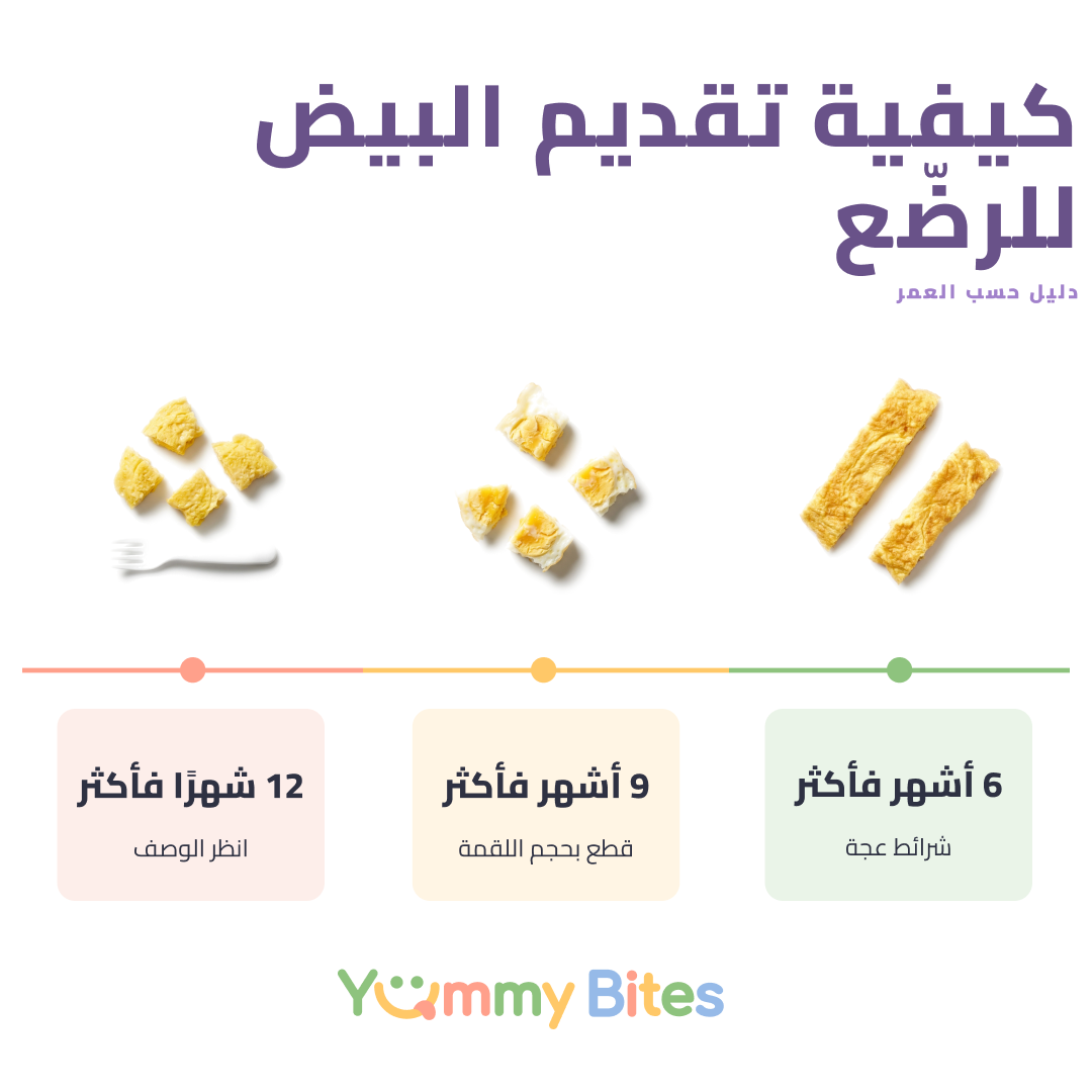 بيض