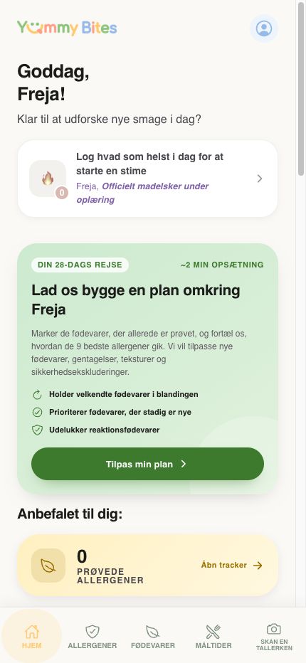 Skærmbillede af dashboard