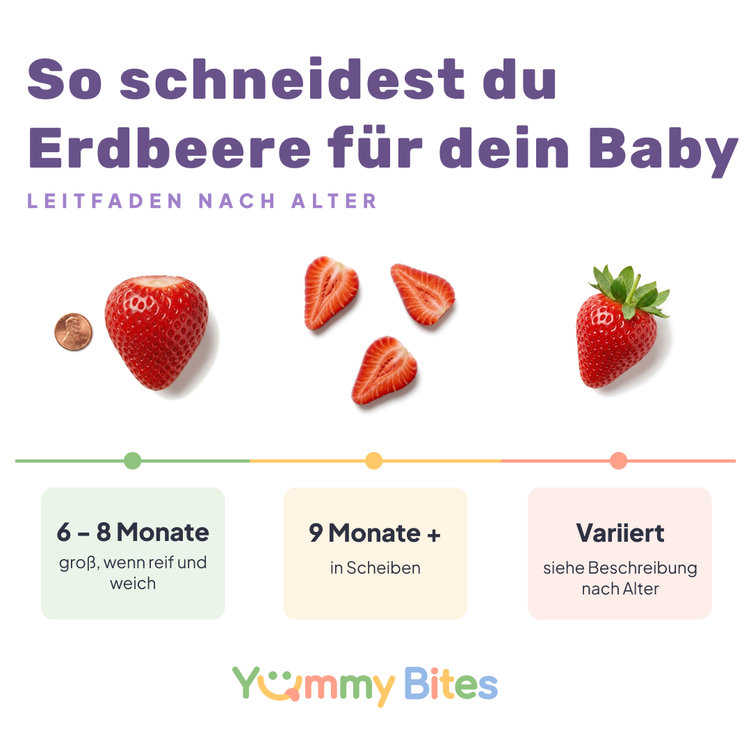 Wie man Erdbeere für Babys serviert