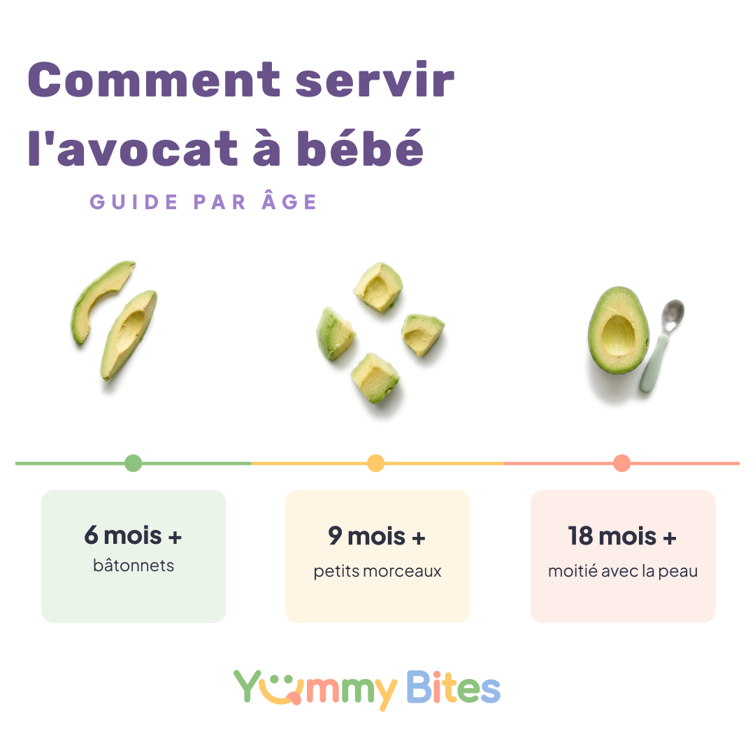Comment servir l'avocat aux bébés