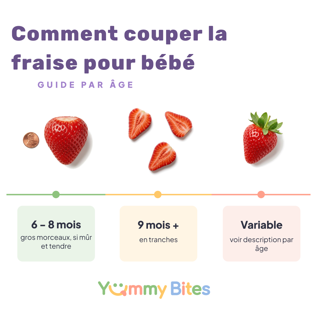 Comment servir la fraise aux bébés
