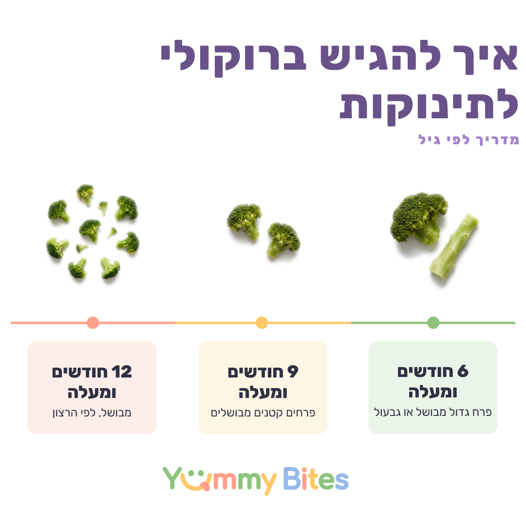 ברוקולי