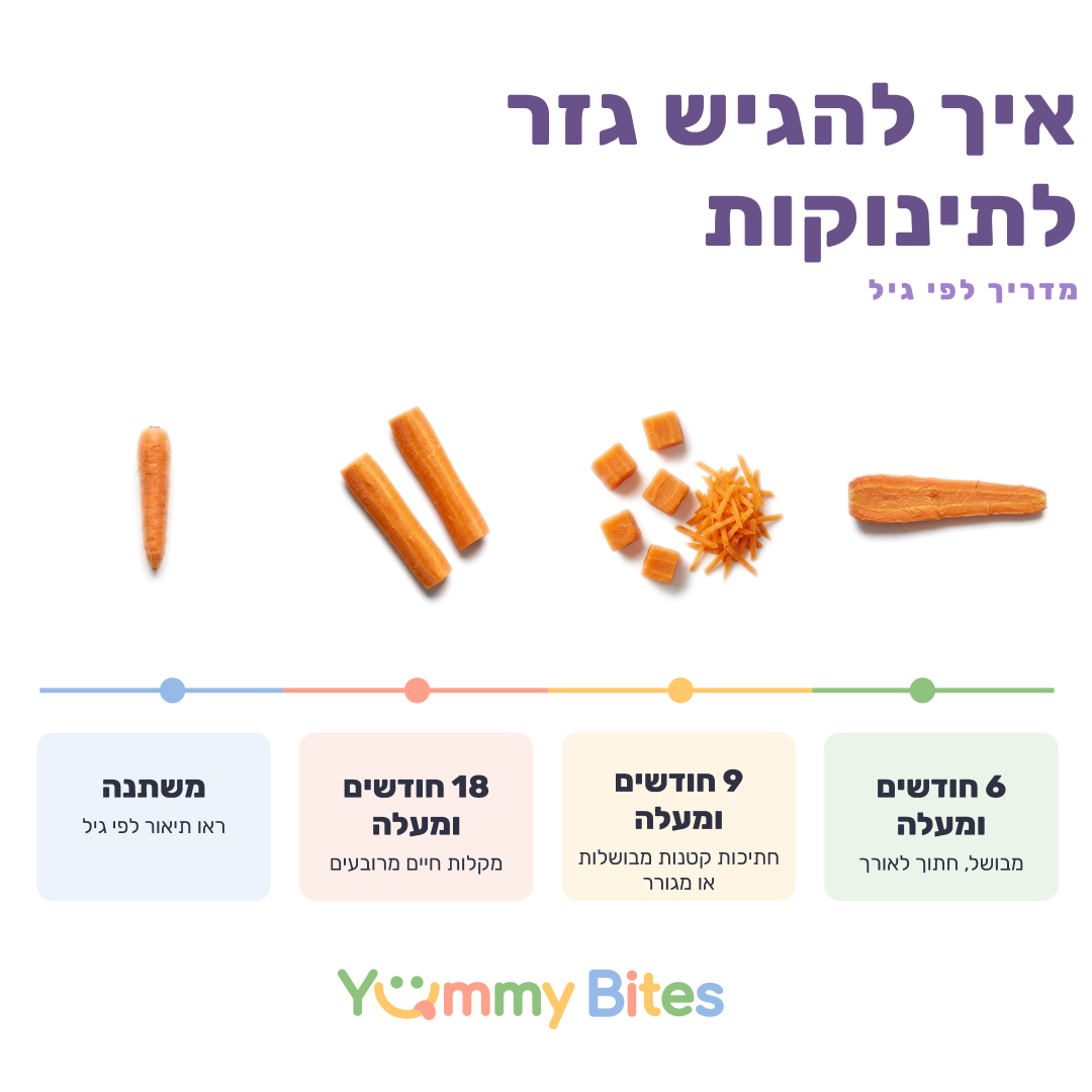 גזר