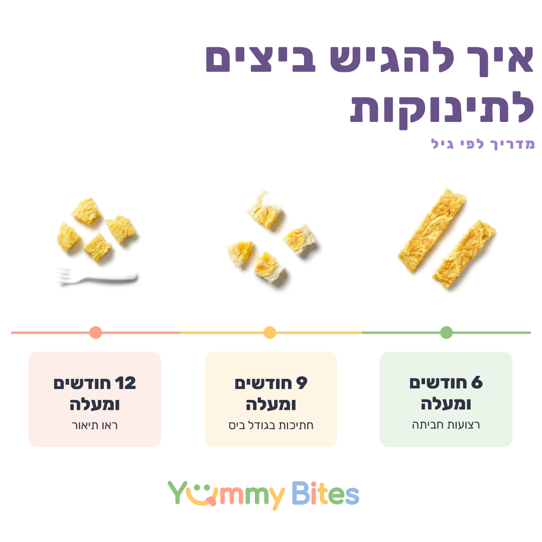 ביצה