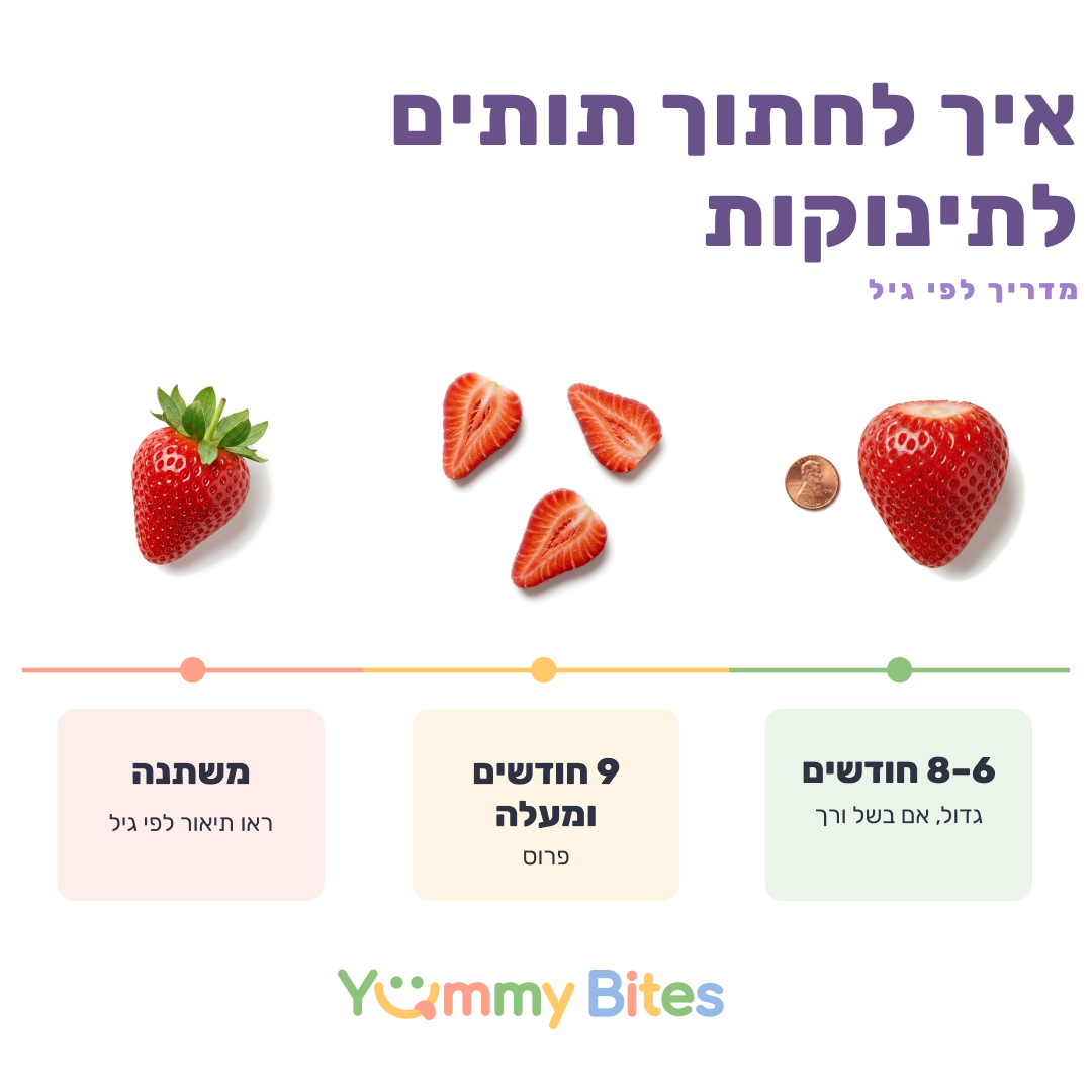 תות שדה
