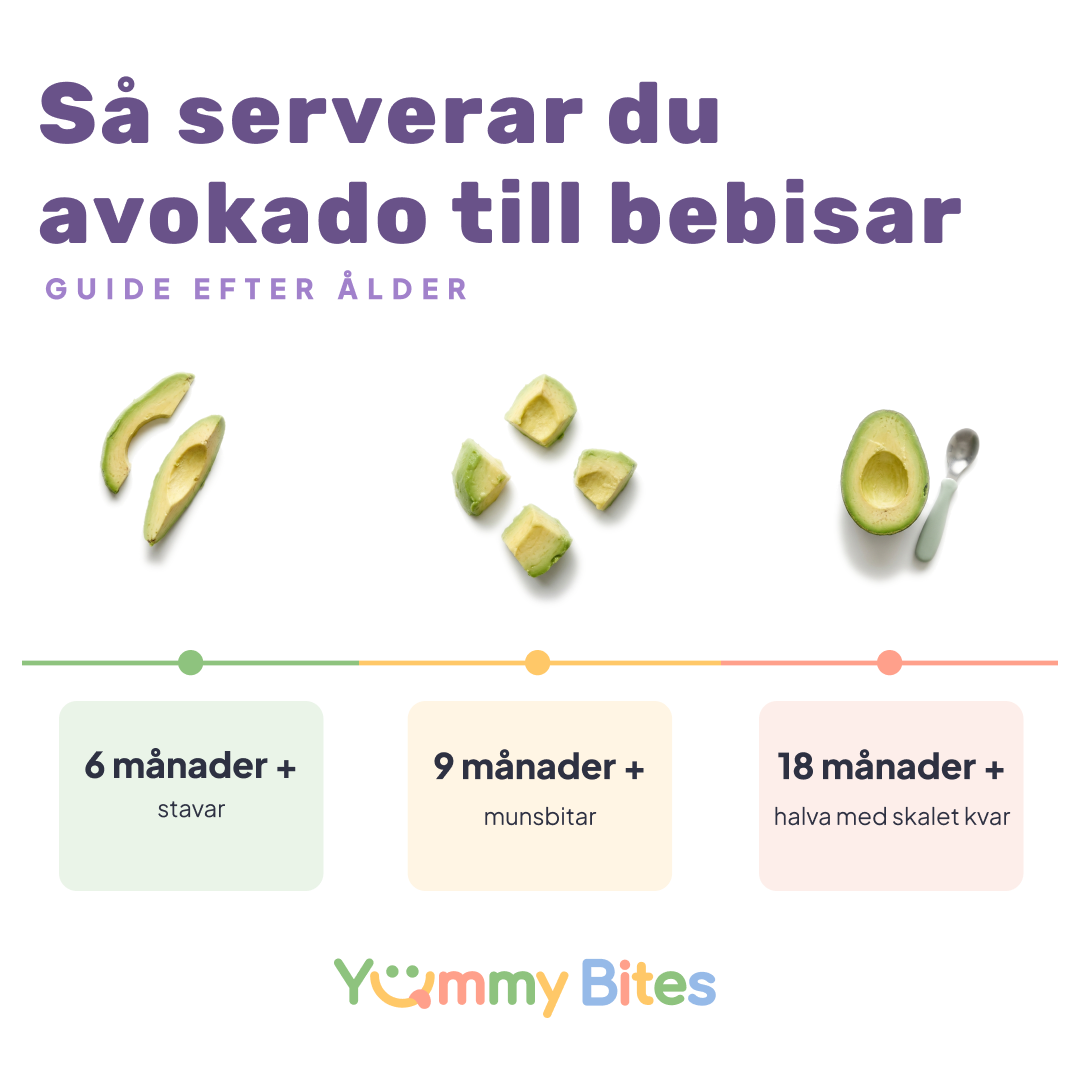 Hur man serverar avokado till bebisar